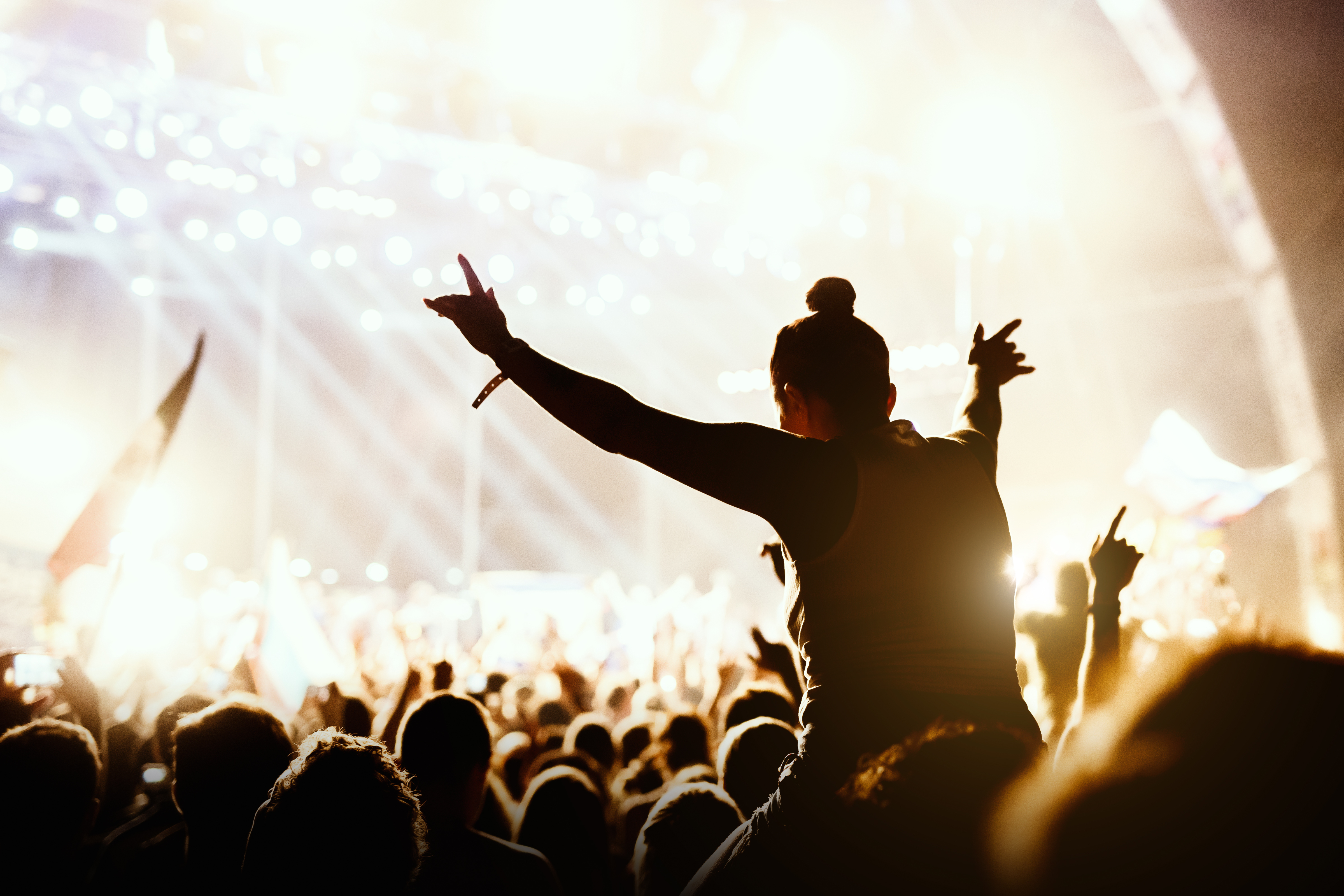 Concert crowd 
